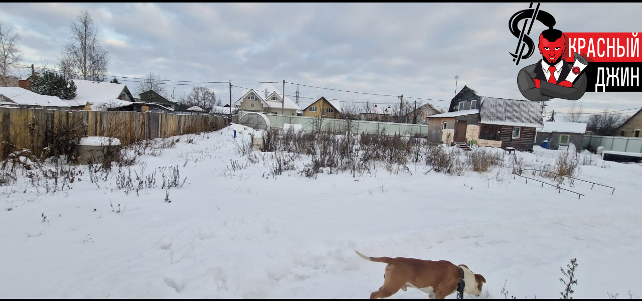 Земельный участок 1500 м. кв. в Ленинградской области город Коммунар